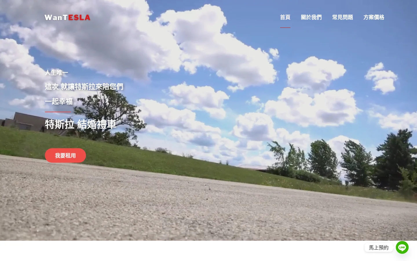 Wantesla 網站截圖